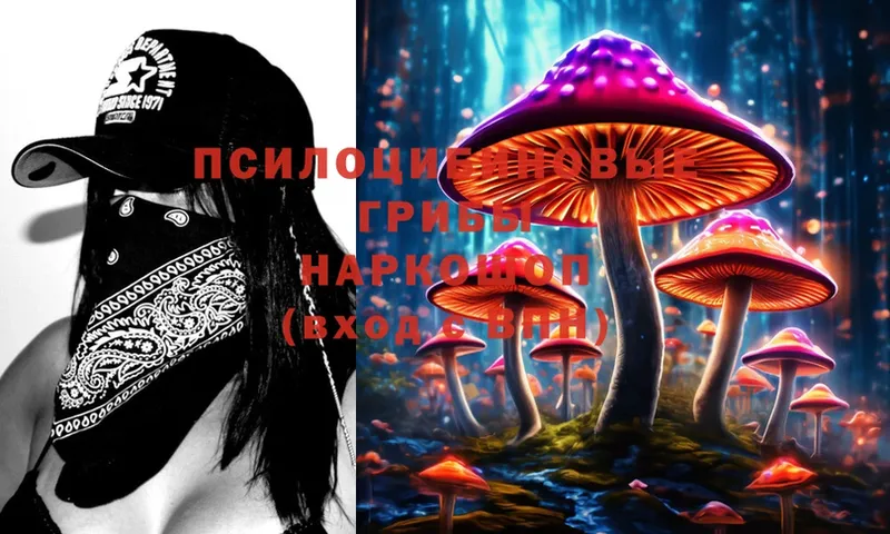 Псилоцибиновые грибы Cubensis  Беслан 